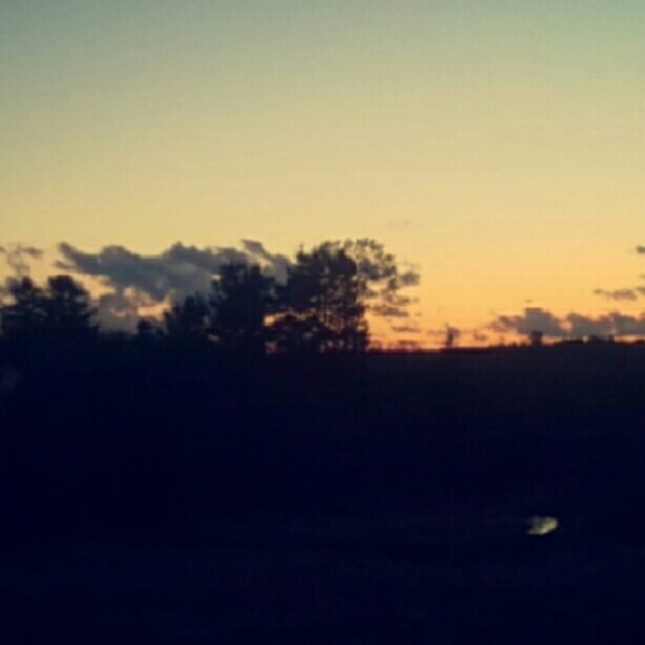 Meet your Posher, Makayla