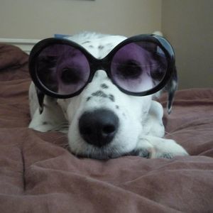 Meet your Posher, Stacey