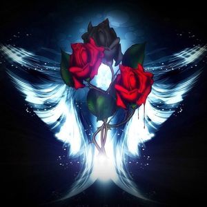 Meet your Posher, Elaine