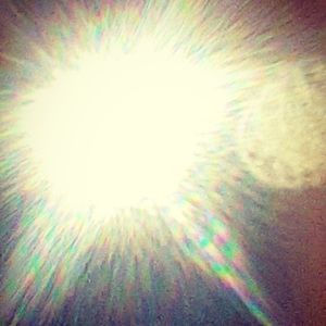 Meet your Posher, Shea