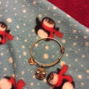 Alex and Ani