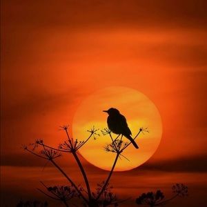 Meet your Posher, Shawn