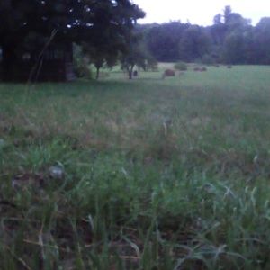 Meet your Posher, Tara