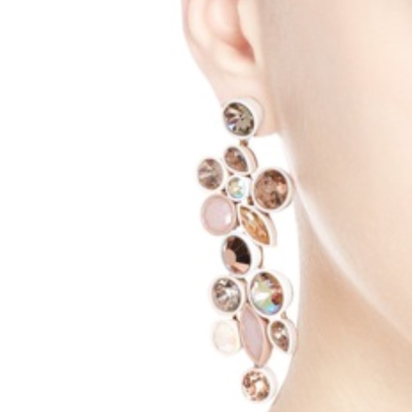 J Crew Mixed Brûlée Statement Earrings