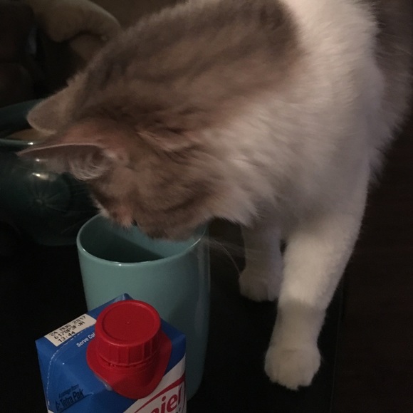 Meet your Posher, Jamie - Picture 1 of 1