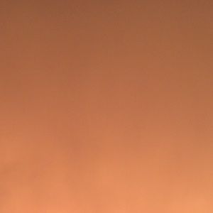 Meet your Posher, Rozina