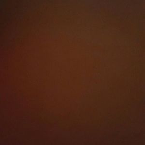 Meet your Posher, Luz