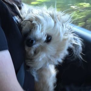 Meet your Posher, Patricia