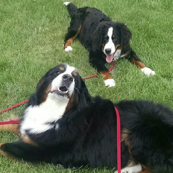 Meet your Posher, Kimberly - Picture 2 of 6