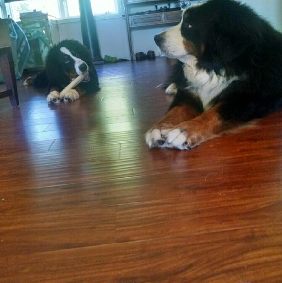 Meet your Posher, Kimberly - Picture 4 of 6