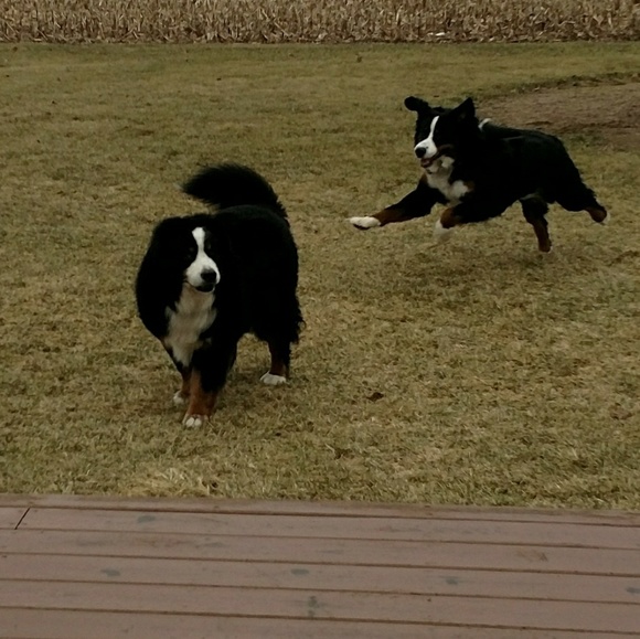 Meet your Posher, Kimberly - Picture 5 of 6