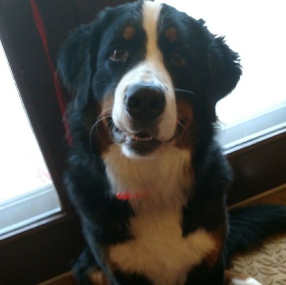 Meet your Posher, Kimberly - Picture 6 of 6