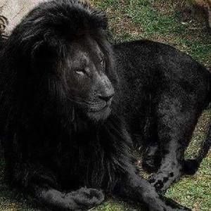 Meet your Posher, Anne