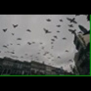 Meet your Posher, Angel