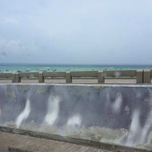 Meet your Posher, Brady