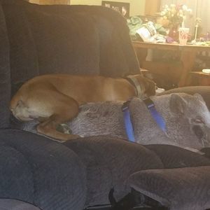 Meet your Posher, Donna