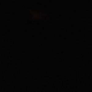 Meet your Posher, Abel