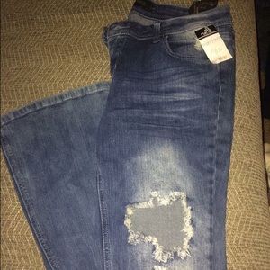 Black label Womens/Juniors jeans NWT 11/12