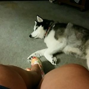 Meet your Posher, Suzanne