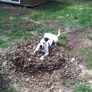 Meet your Posher, Sheila