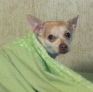 Meet your Posher, Leah