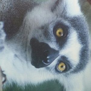 Meet your Posher, Glenda