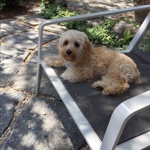 Meet your Posher, Laura