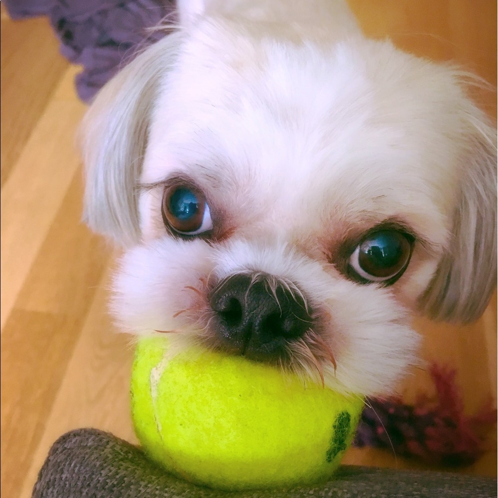 Meet your Posher, Jennifer