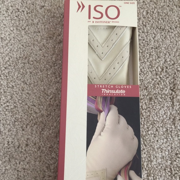 Thinsulate Gloves