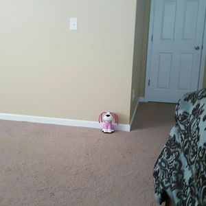 Meet your Posher, Denise