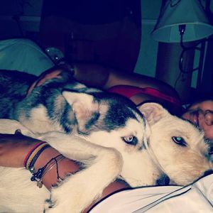 Meet your Posher, Daniela