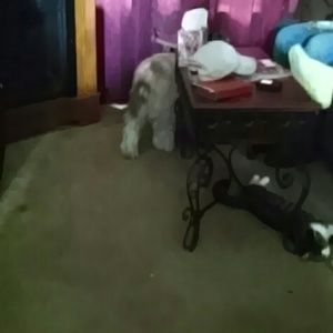 Meet your Posher, Deborah