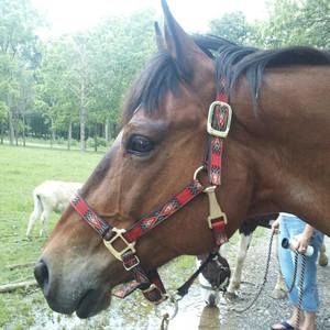 Meet your Posher, Tracy