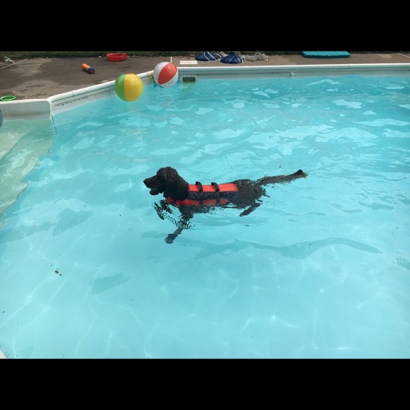 Meet your Posher, Kelly - Picture 1 of 1