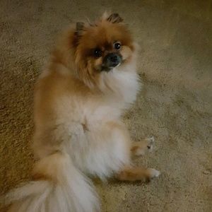 Meet your Posher, Sabrina