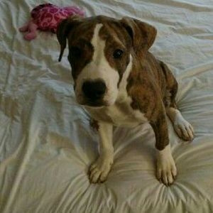 Meet your Posher, Katy