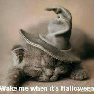 Meet your Posher, Kerry