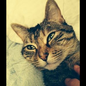 Meet your Posher, Pike