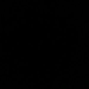 Meet your Posher, Pam