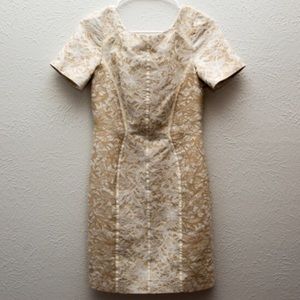 antonio melani dresses clearance skirts