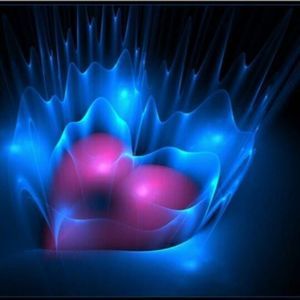 Meet your Posher, Tabitha