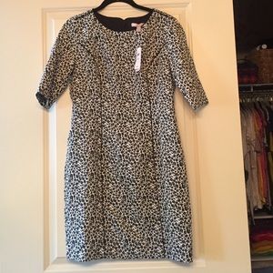 Brand New banana republic size 6P dress