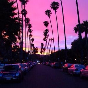 Meet your Posher, Emoree