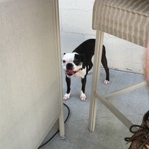 Meet your Posher, Kathy