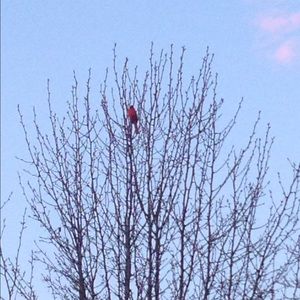 Meet your Posher, Erick