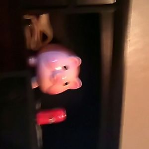 Meet your Posher, Judy