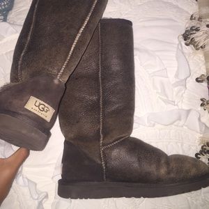 Dark Brown Tall Ugg Boots