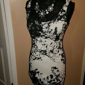 Fitted Dress