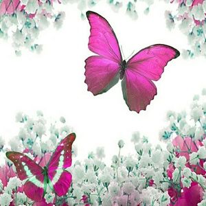 Meet your Posher, Evelyn