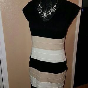 Cocktail Fitted Dress NWOT